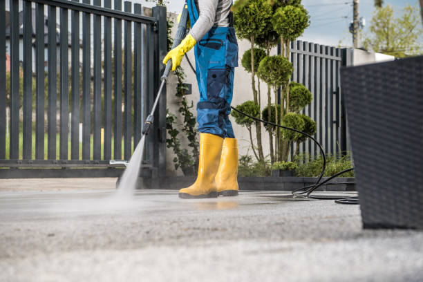 Best Oil Spill Cleanup  in Jasmine Estates, FL